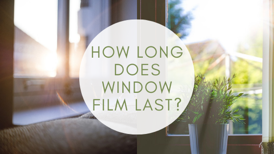 how long does window film last
