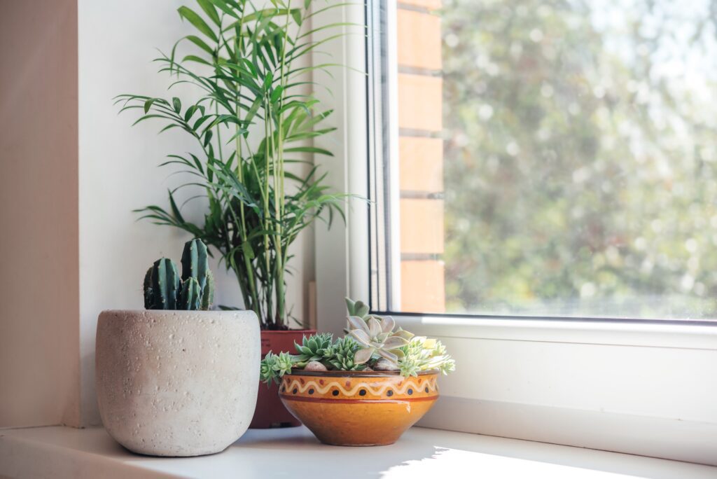llumar window film contractor Dallas